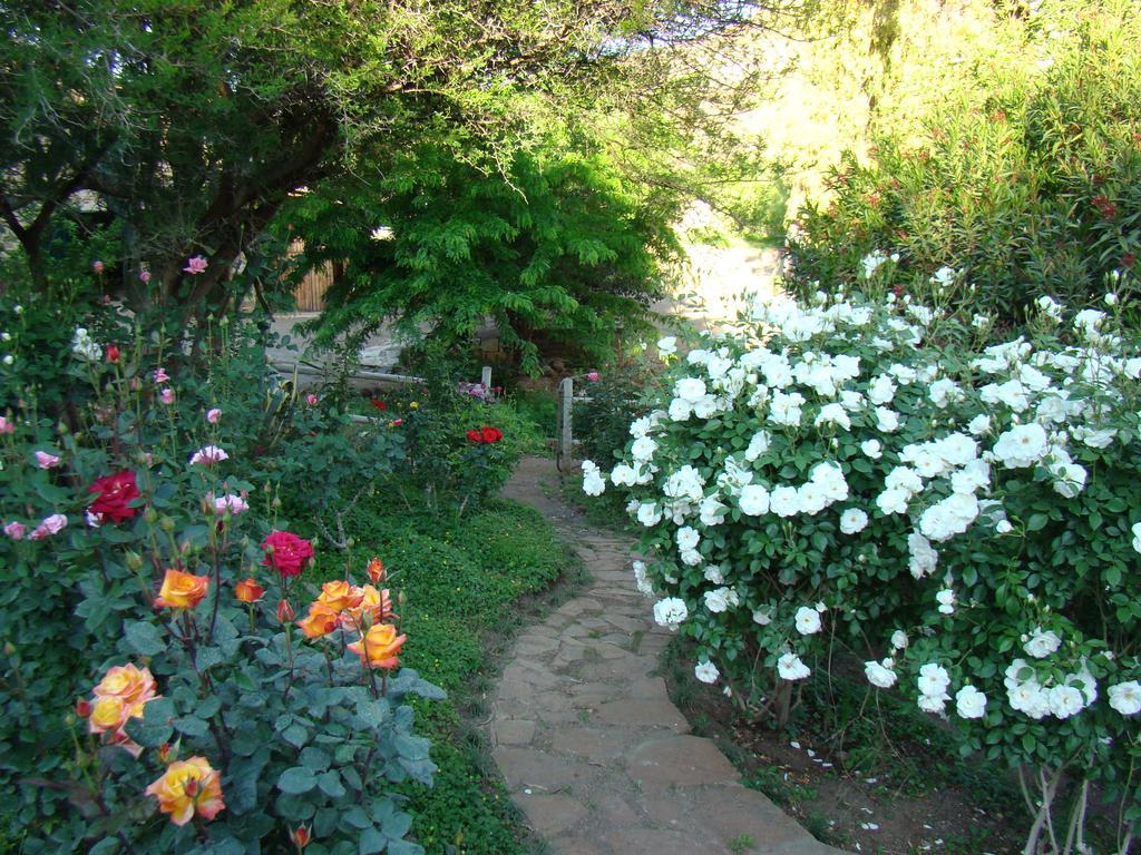 Waterval Farmstay Graaff-Reinet المظهر الخارجي الصورة