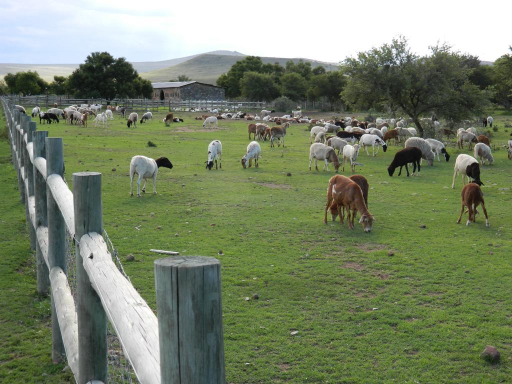 Waterval Farmstay Graaff-Reinet المظهر الخارجي الصورة